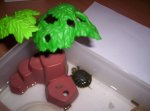 _copia_tortu.jpg