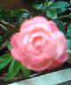 Imagen010.jpg