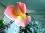Imagen033.jpg