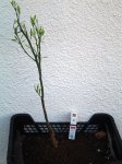 DSC03587.JPG