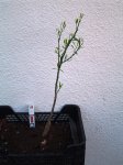 DSC03588.JPG