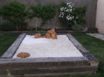 bonsai arriba.JPG
