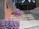 IMG_0324.JPG