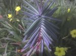 12-03-07_1409.jpg