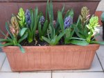 jardinera 1.jpg