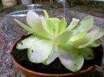 Foto-0091.jpg