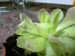 Foto-0092.jpg