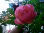 Imagen019.jpg