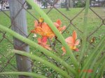 Picture 054.jpg