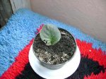 DSC00149.JPG