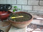 Imagen 004.jpg