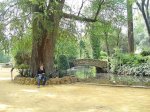 DSC01393.JPG