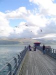 DSC01317.JPG