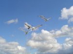 DSC01318.JPG