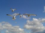 DSC01319.JPG