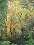 DSC00549.JPG