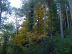 DSC00525.JPG