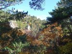 DSC00532.JPG