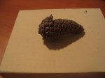 IMG_6373.JPG