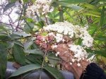 100_0607.jpg