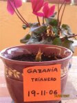 tulipan 007 (Small).jpg