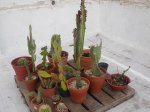 DSCN4717.JPG