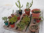 DSCN4719.JPG