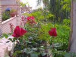 maerzo y abril 00047.JPG
