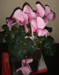 DSC04546.JPG