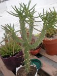 DSCN4726.JPG