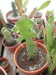 DSCN4724.JPG
