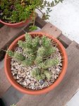 DSCN4725.JPG