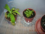 DSCN0658.JPG