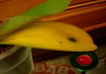 DSCN3902.JPG