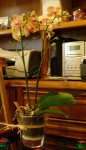 DSCN3782.JPG