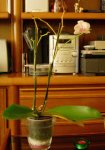 DSCN3904.JPG