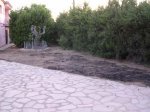 DSCN2465.jpg