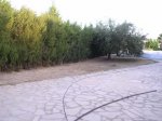 DSCN2447.jpg