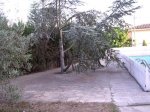 DSCN2451.jpg