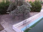 DSCN2462.jpg