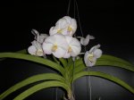 Image00002.jpg