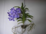 Image00001.jpg