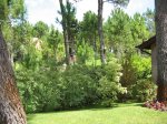 IMG_0818.jpg