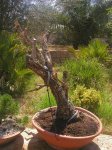 24062006 025.jpg