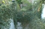 DSC_0003.JPG