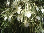BP_0120_094058.jpg
