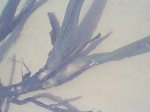 Img-20060727-2345380948.jpg