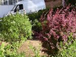 DSCN0908.JPG