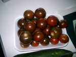 tomates.jpg