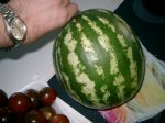 sandia.jpg